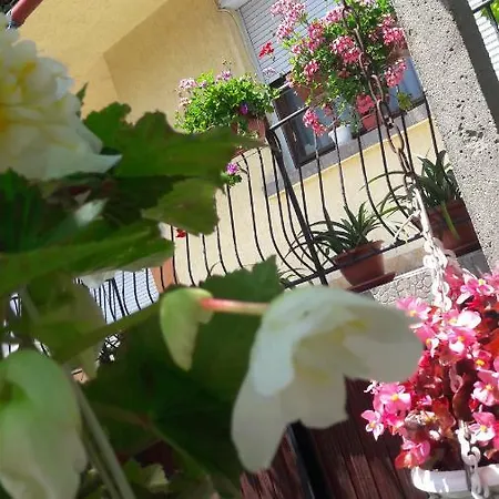 招待所 Guest Ider 3*