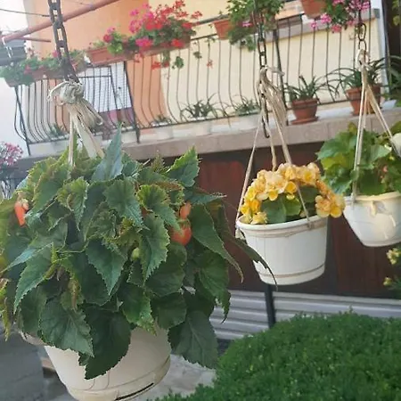 Guest Ider 3* Sapareva Banya