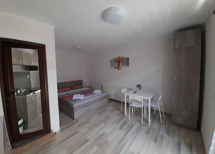 Guest Ider Sapareva Banja