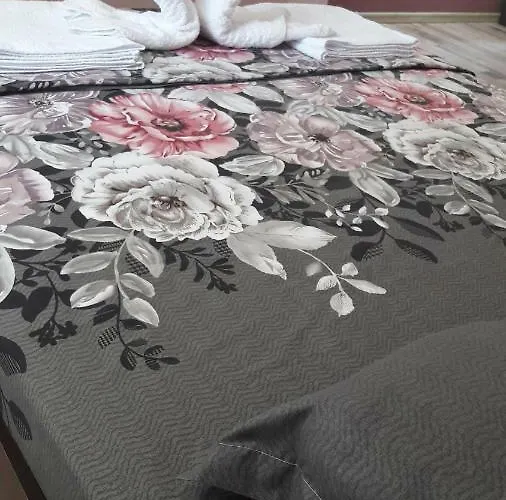 Guest Ider Penzion 3*